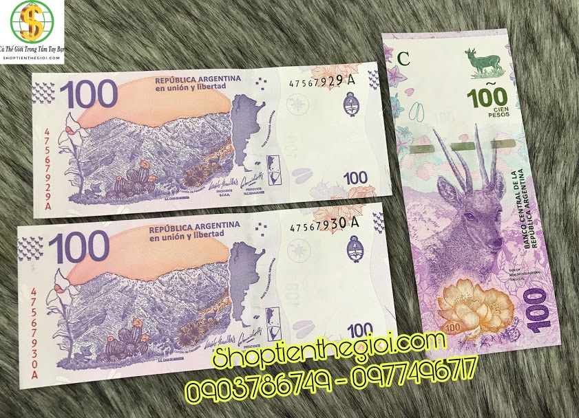 tiền 100 peso của Argntina